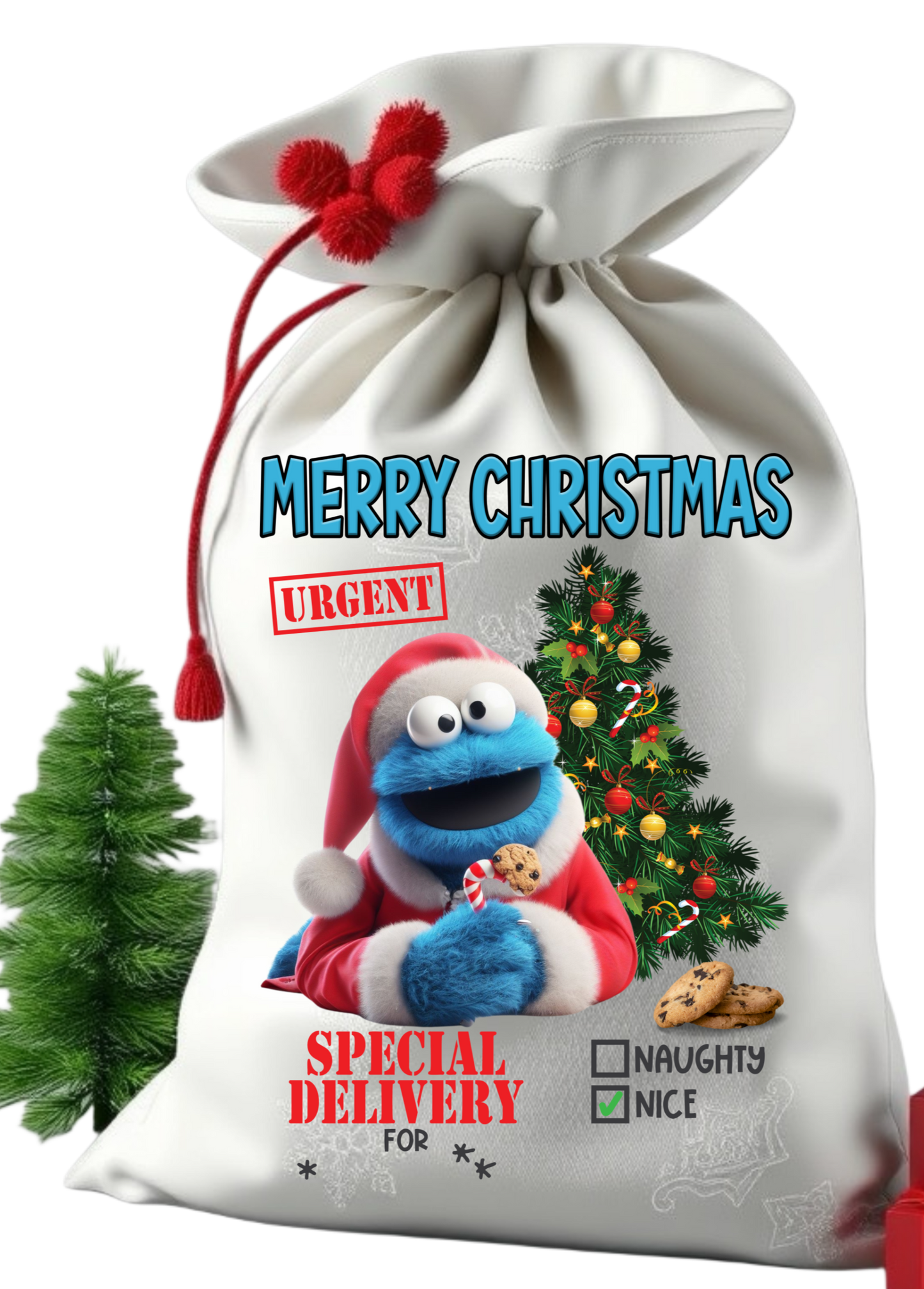 Santa sack get them personalize with child photo and name