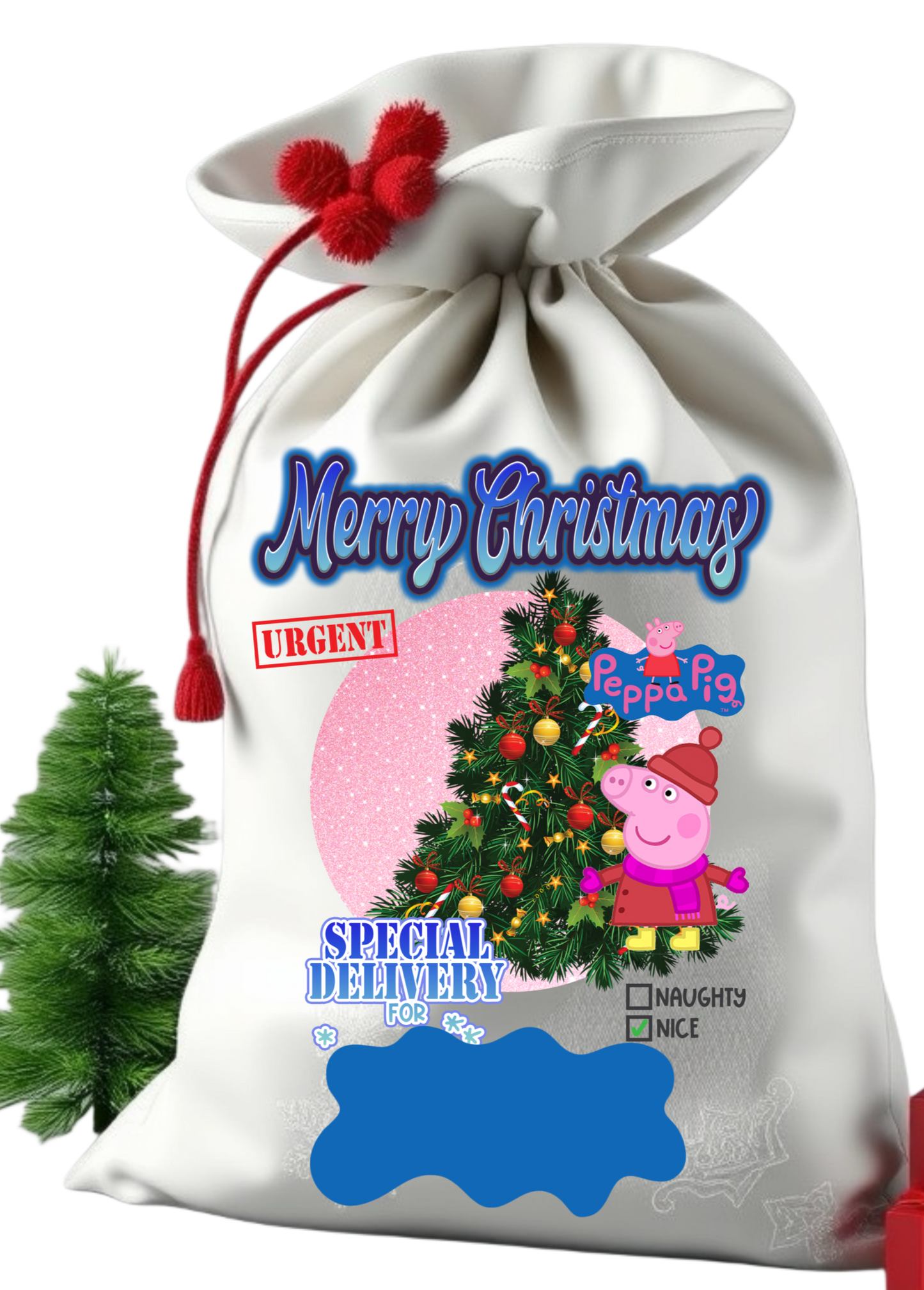 Santa sack get them personalize with child photo and name