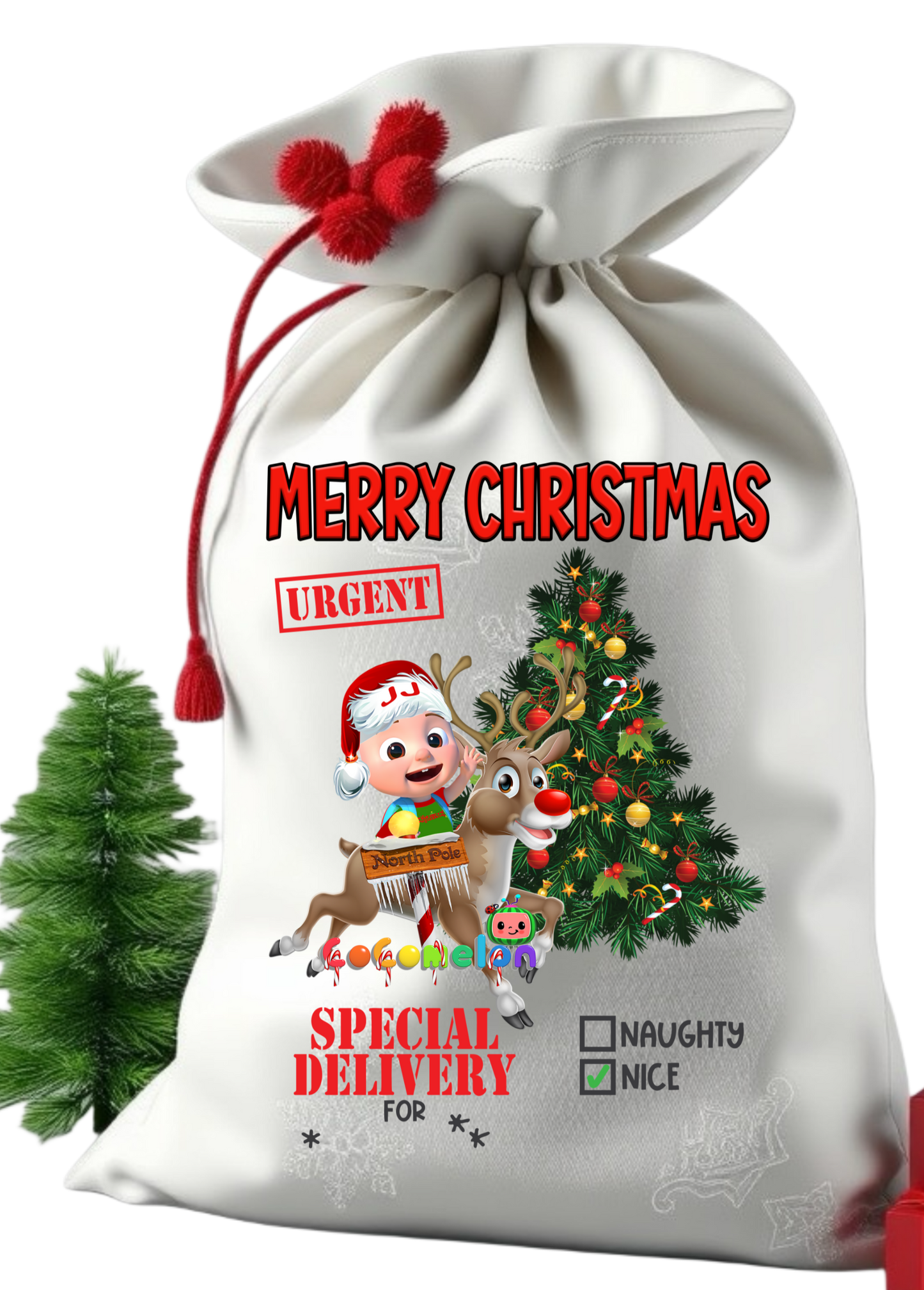 Santa sack get them personalize with child photo and name