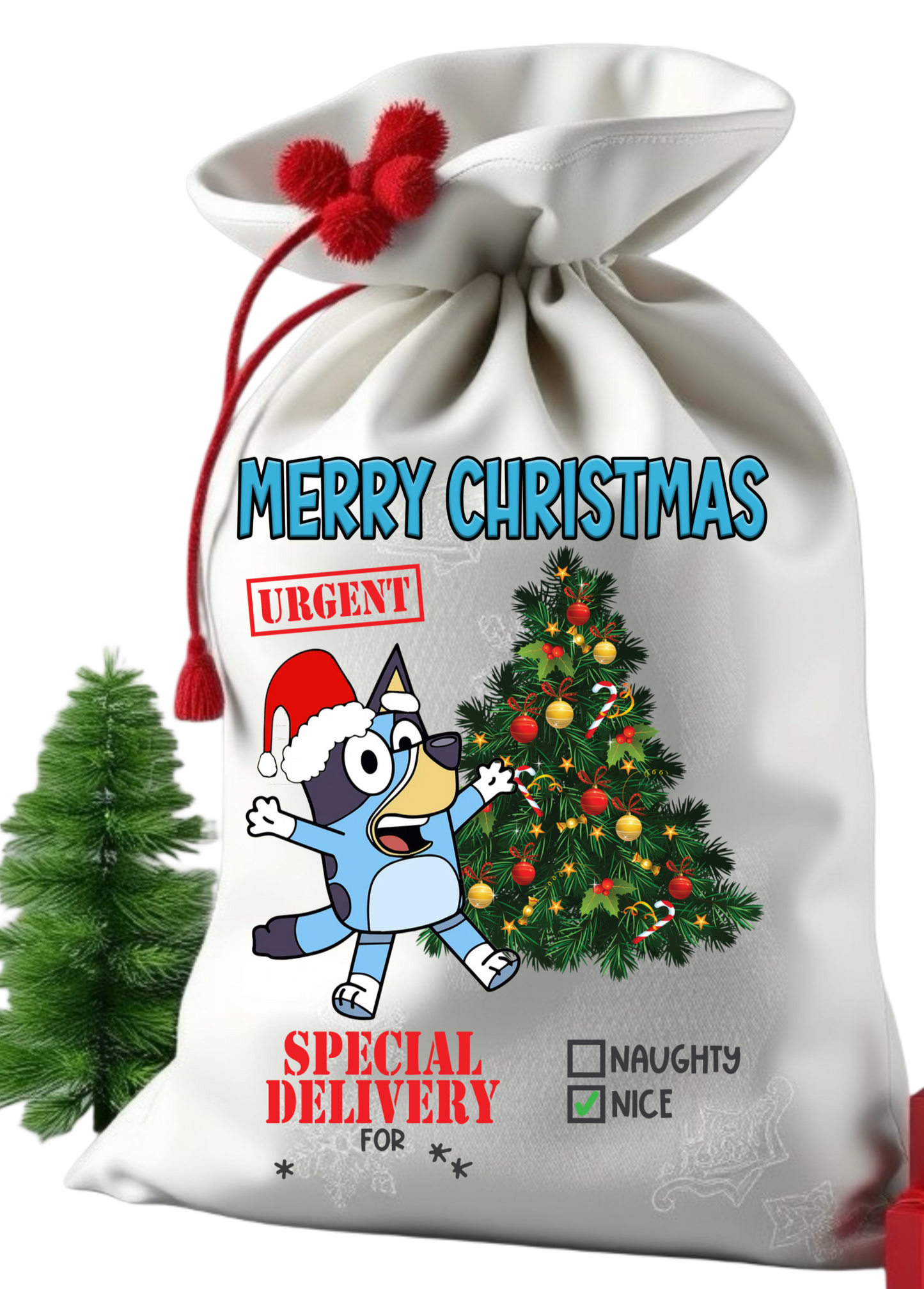 Santa sack get them personalize with child photo and name