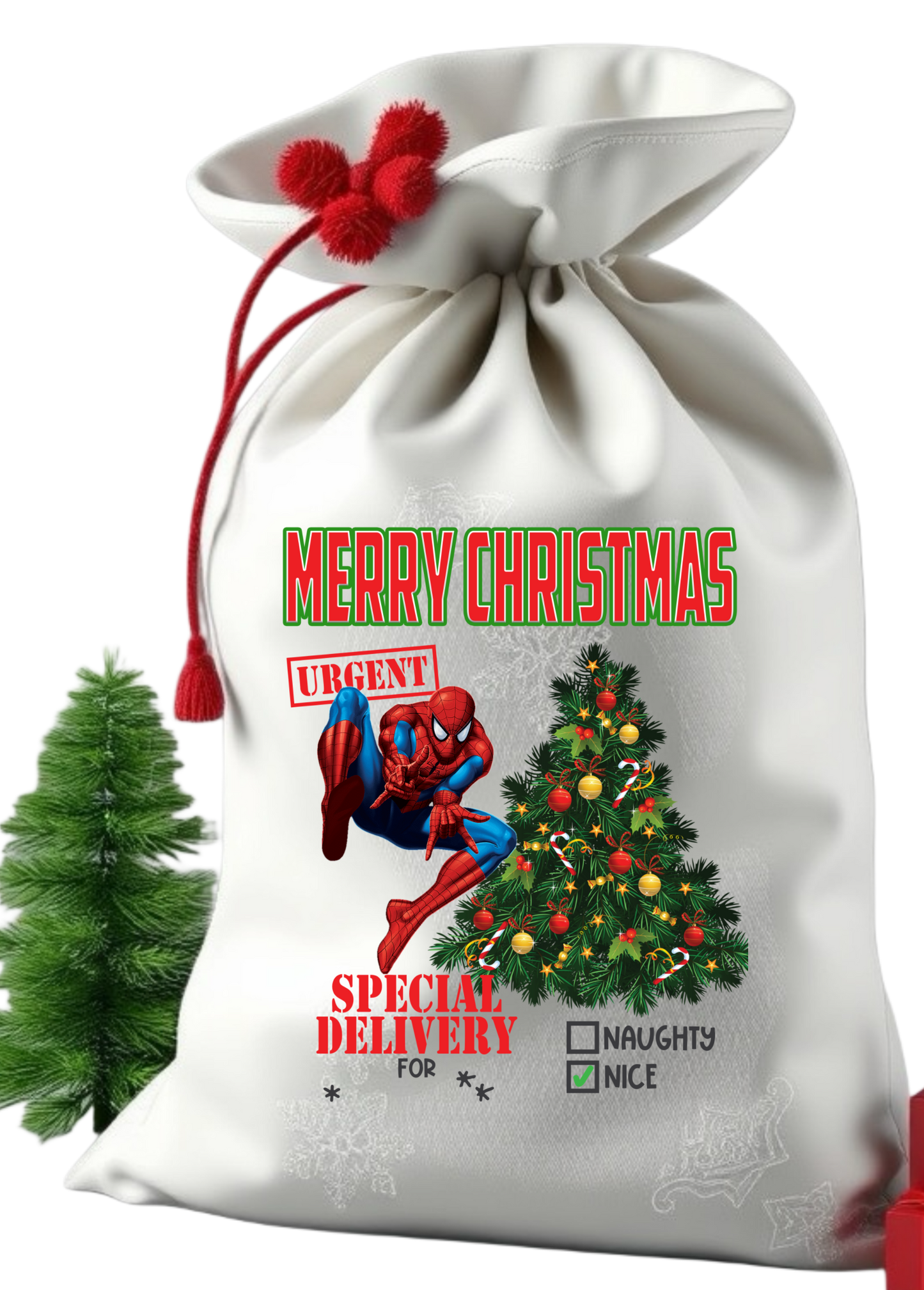 Santa sack get them personalize with child photo and name