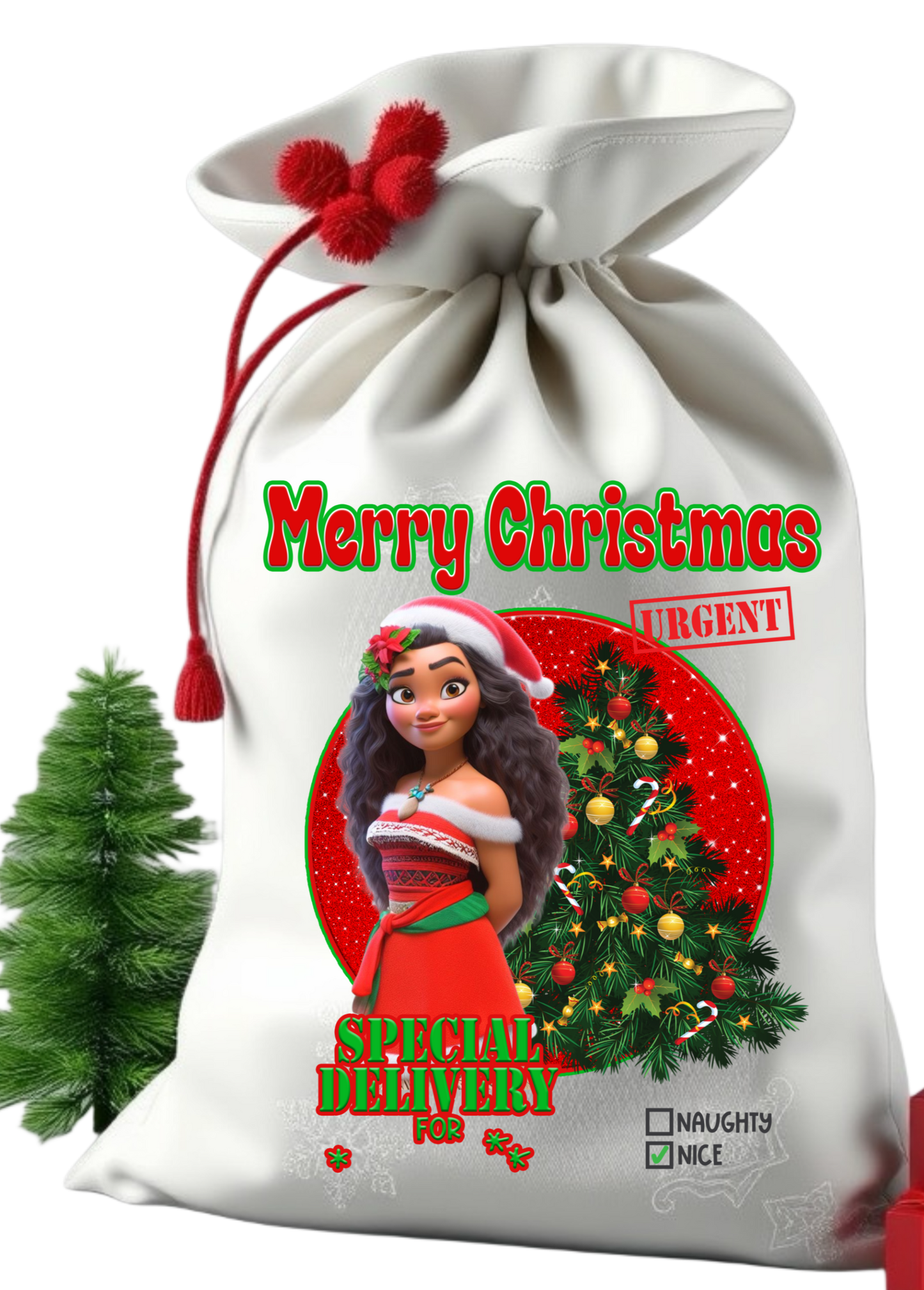 Santa sack get them personalize with child photo and name