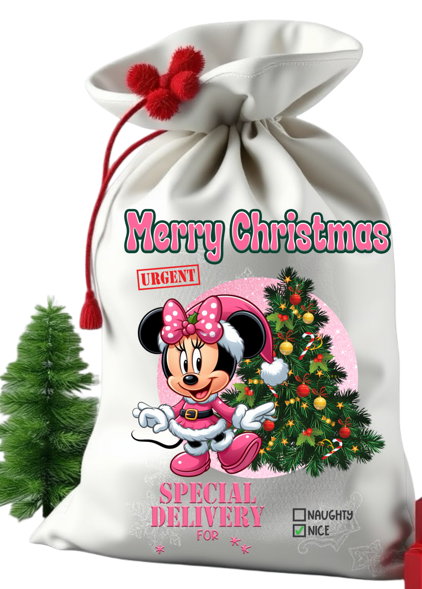 Santa sack get them personalize with child photo and name