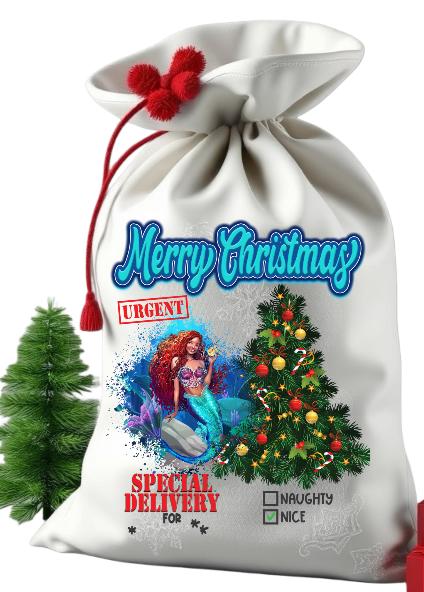 Santa sack get them personalize with child photo and name