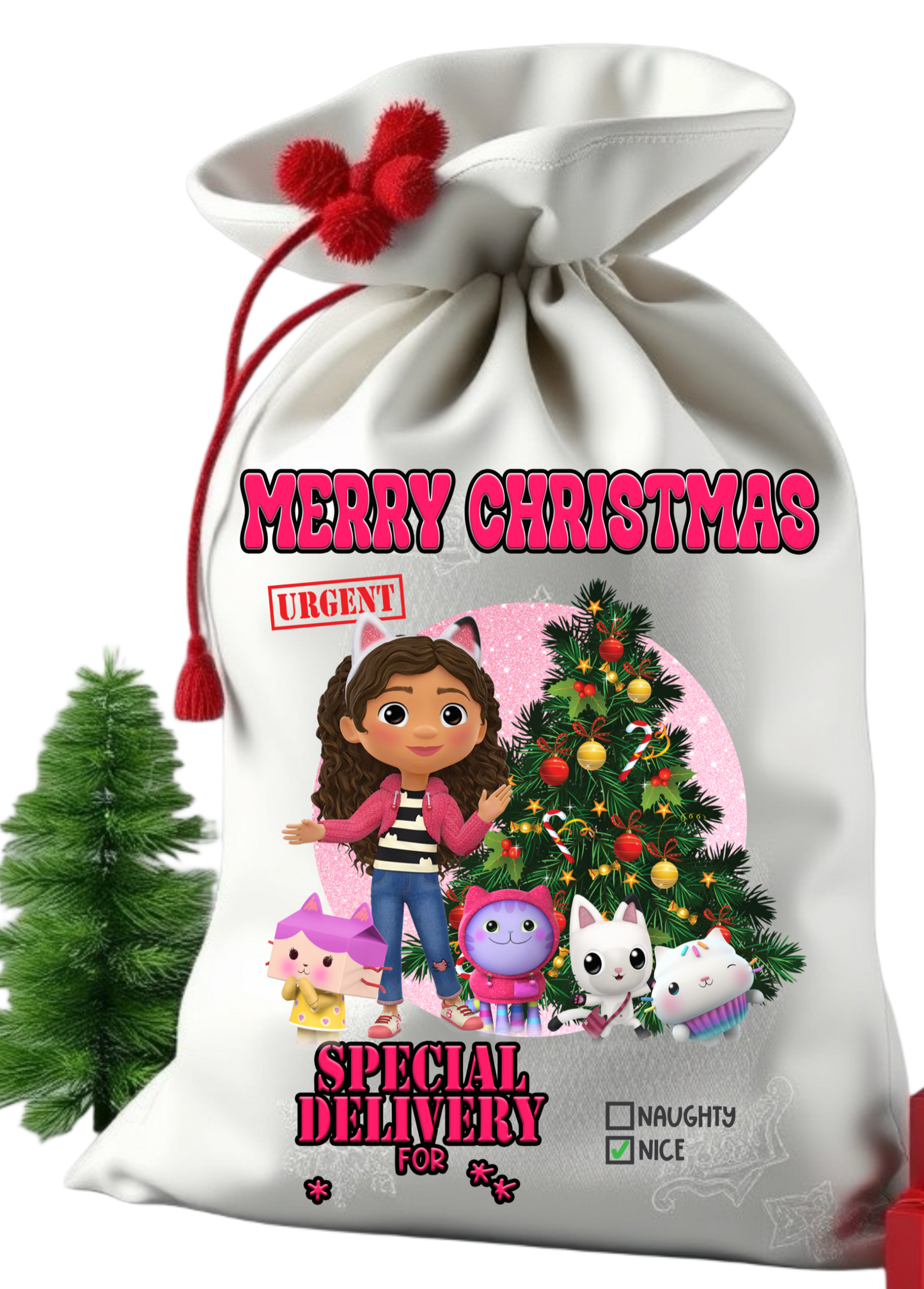 Santa sack get them personalize with child photo and name